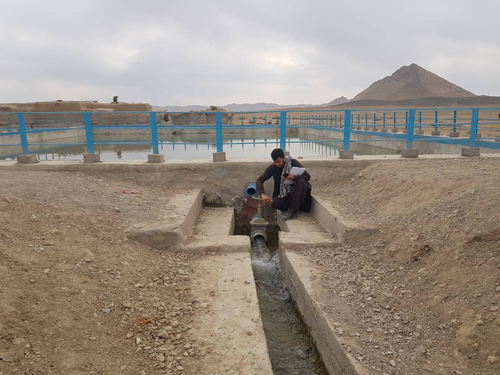 کندهار