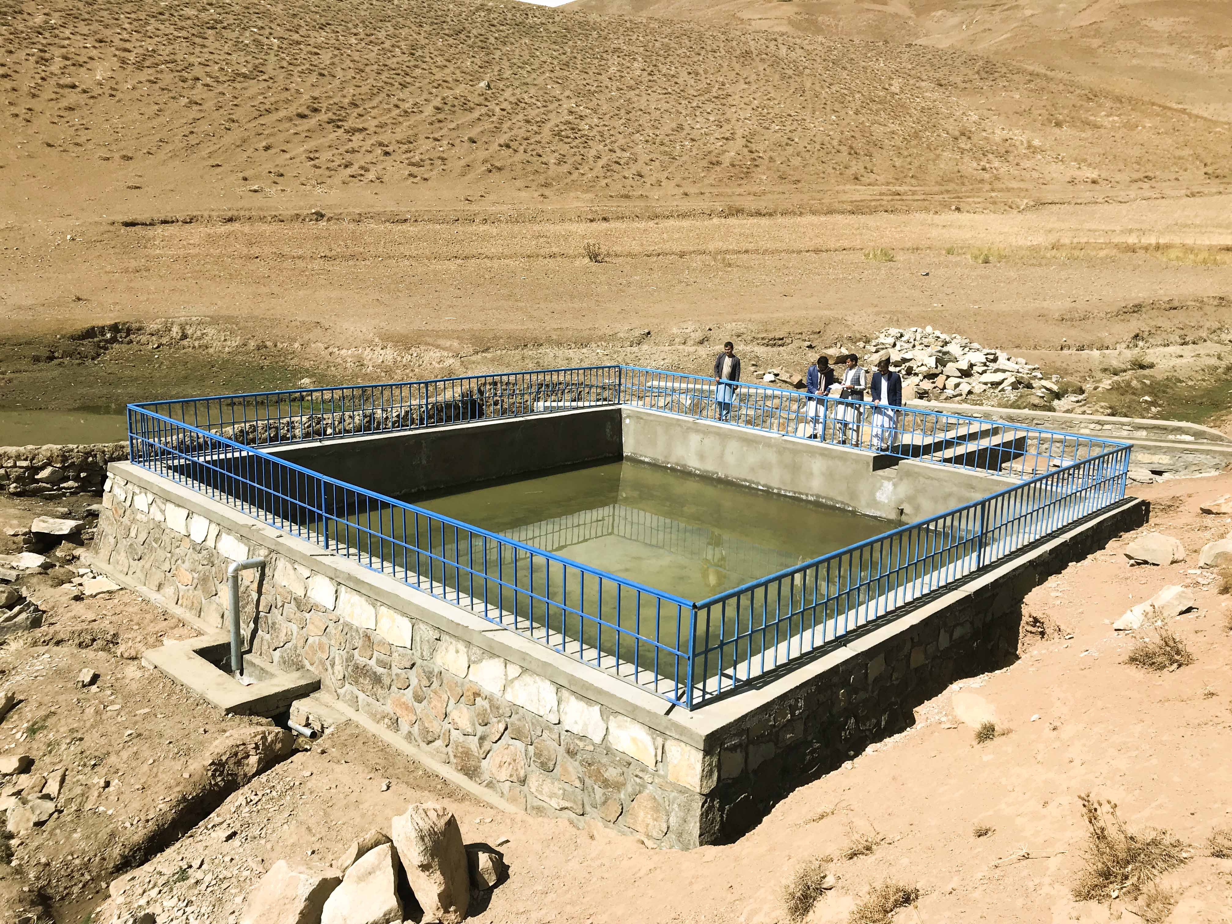 غور