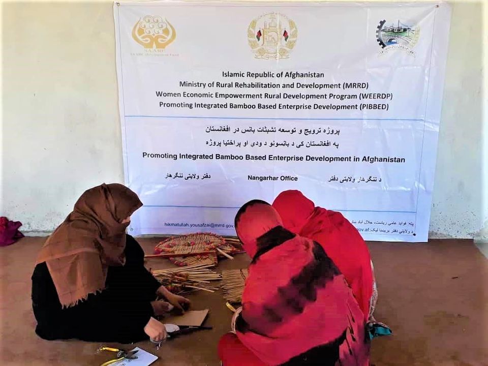 په ننګرهار کې د باڼس  د لرګيو څخه د تولیداتو رامنځته کولو یو مرکز جوړېږي