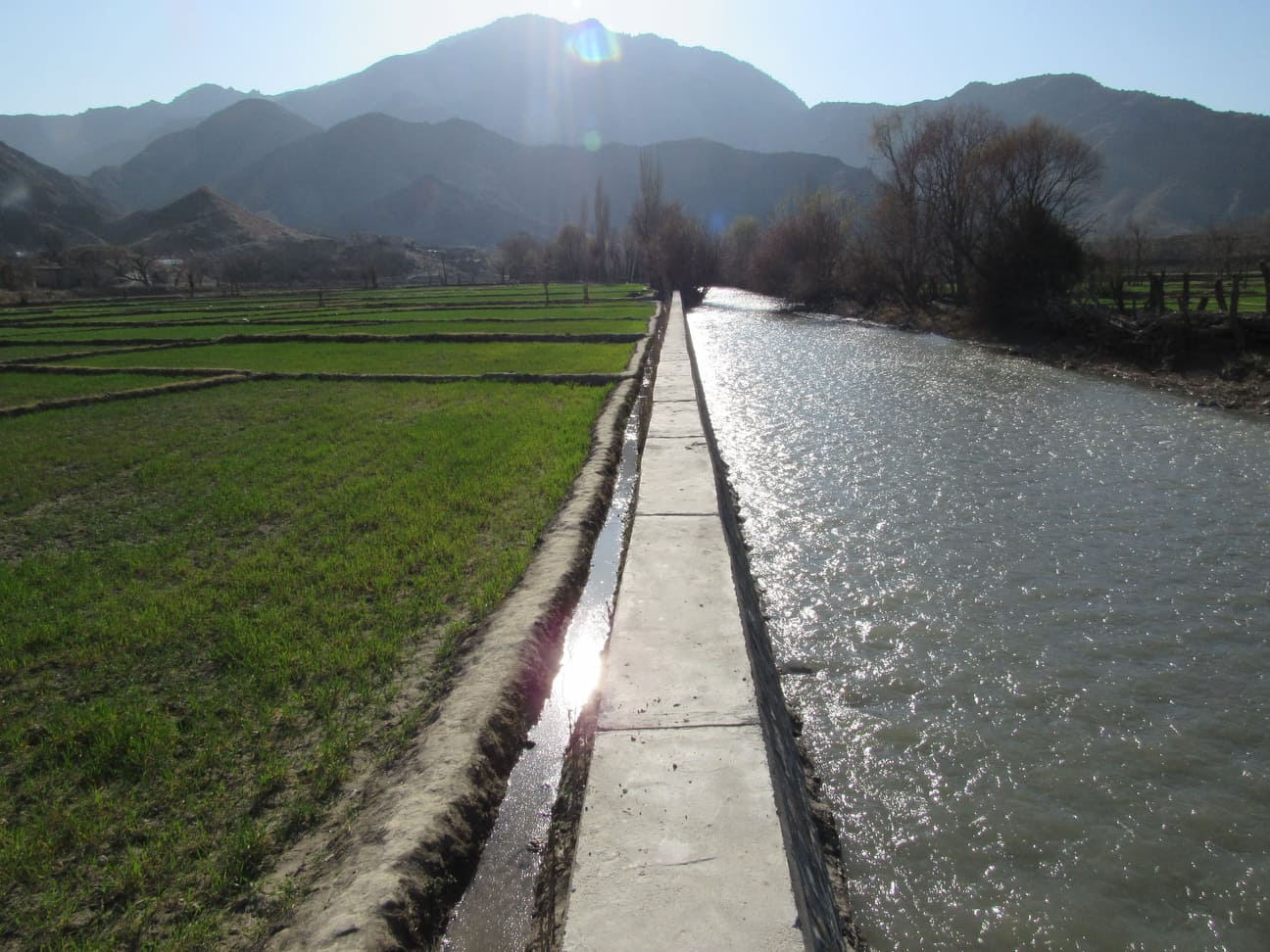 ولسي تړون ملي پروګرام سږ کال په پکتیا کې ۷۴ پروژې بشپړې کړې دي